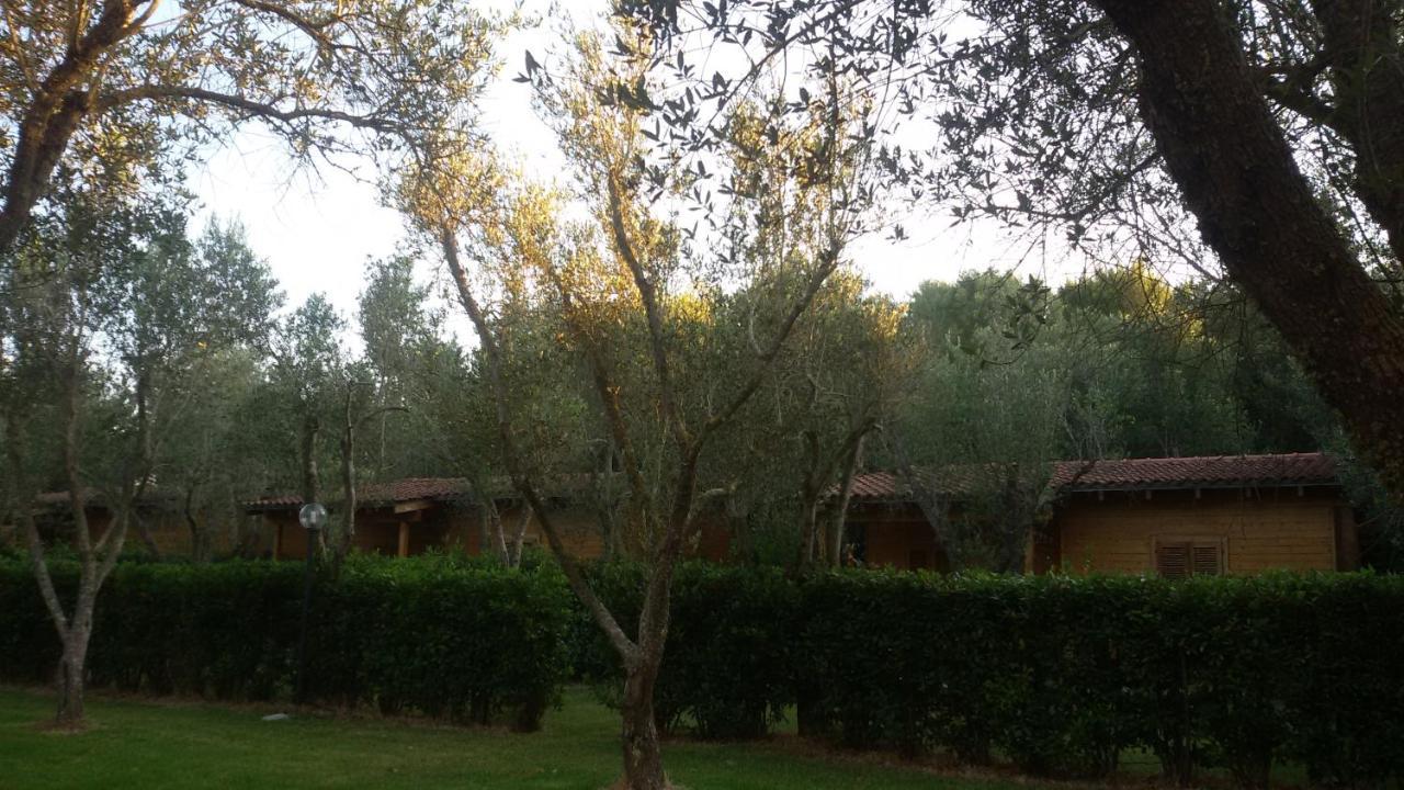 Agriturismo Lu Podere Alimini Εξωτερικό φωτογραφία