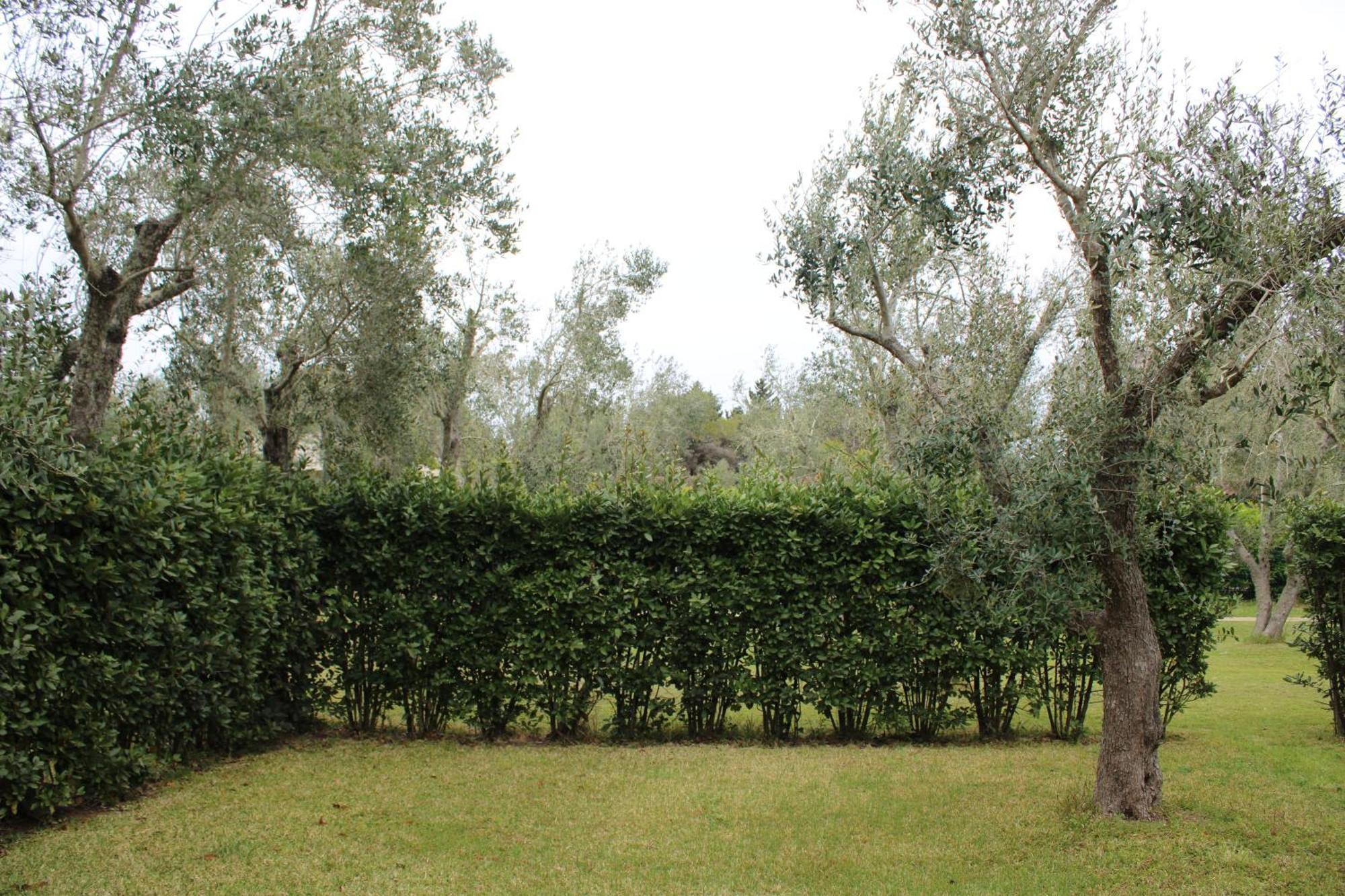Agriturismo Lu Podere Alimini Εξωτερικό φωτογραφία